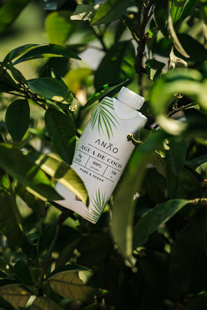 12er Pack 330ml | 100% Kokoswasser